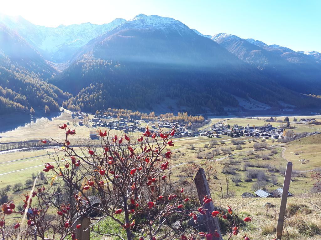Alpensonne Appartement Reckingen Buitenkant foto